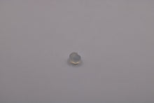 Load image into Gallery viewer, Joint champignon